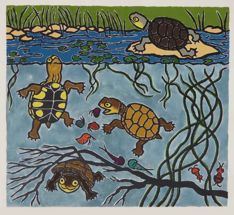The Swamp Tortoises move into a pool by Guundie Kuchling, Artist and Writer
